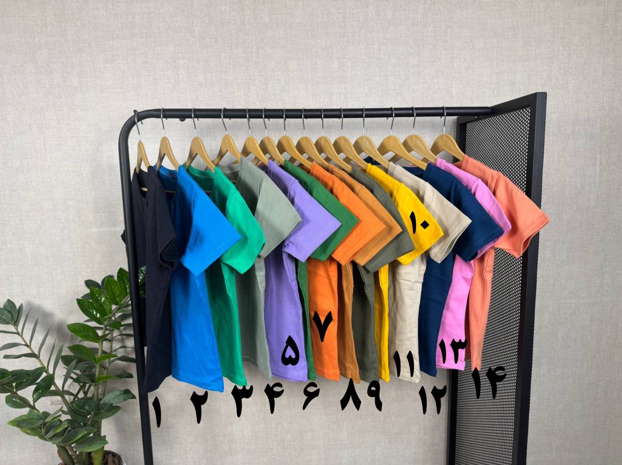 تیشرت بیشیک